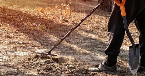 Discover the Thrill of Gold Panning in the Wilderness